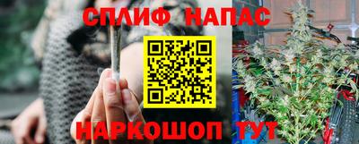 соль ск Новодвинск
