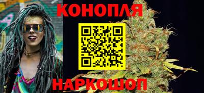 Альфа ПВП Новозыбков