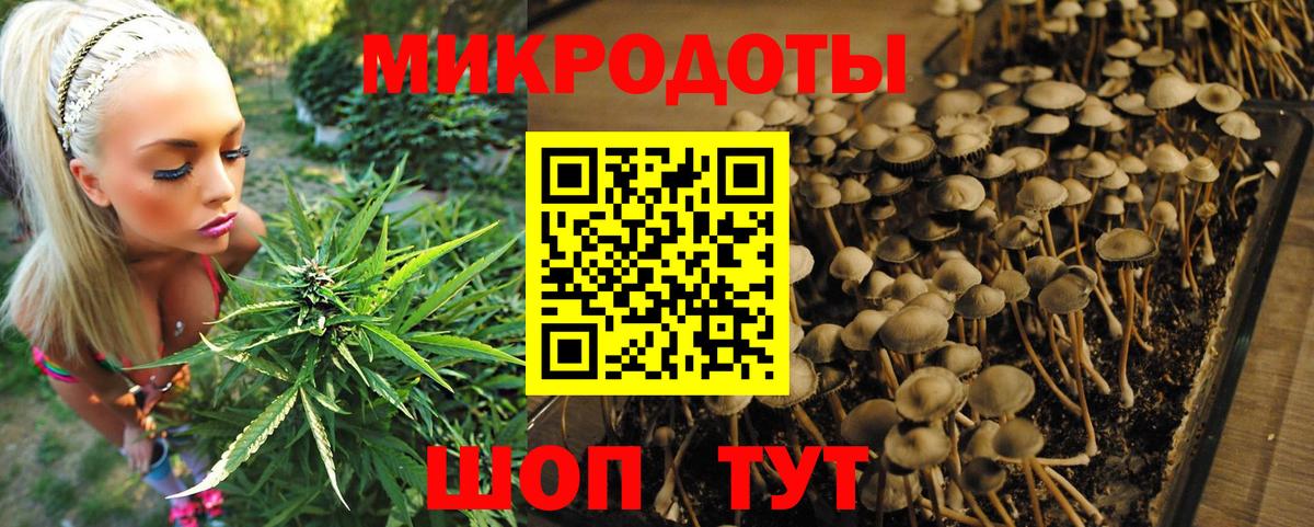Сургут  Псилоцибиновые грибы MAGIC MUSHROOMS  Галлюциногенные грибы GOLDEN TEACHER  Вход с VPN 