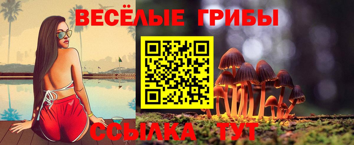 Галлюциногенные грибы GOLDEN TEACHER Сургут